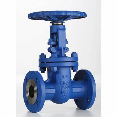 供應(yīng)意大利Valvosider閥門(mén)、過(guò)濾器